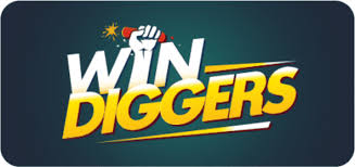 Win Diggers Gambling Establishment Evaluation|Should You Play Here?