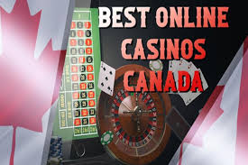 Discovering the Best Online Platforms Discovering the Best Online Platforms
